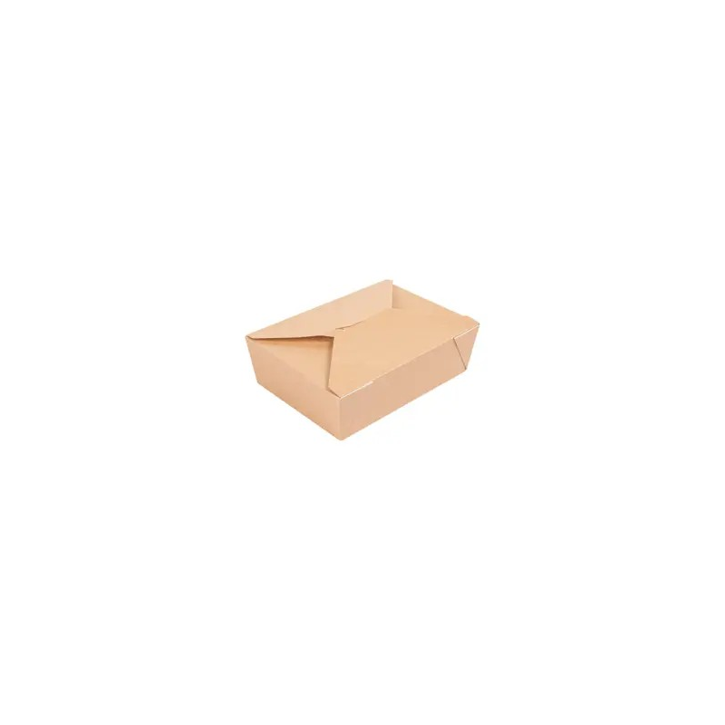 CAJAS AMERICANAS MICROONDABLES THEPACK 1980 ML 19,6x14x6,2 CM NATURAL CARTÓN NANO-MICRO + PP