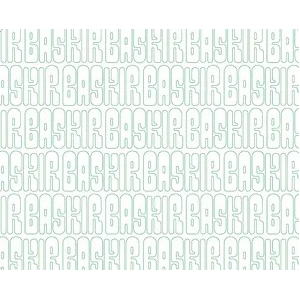 PAPEL ANTIGRASA 28X31 40 GR BASKIR 1000U C6000
